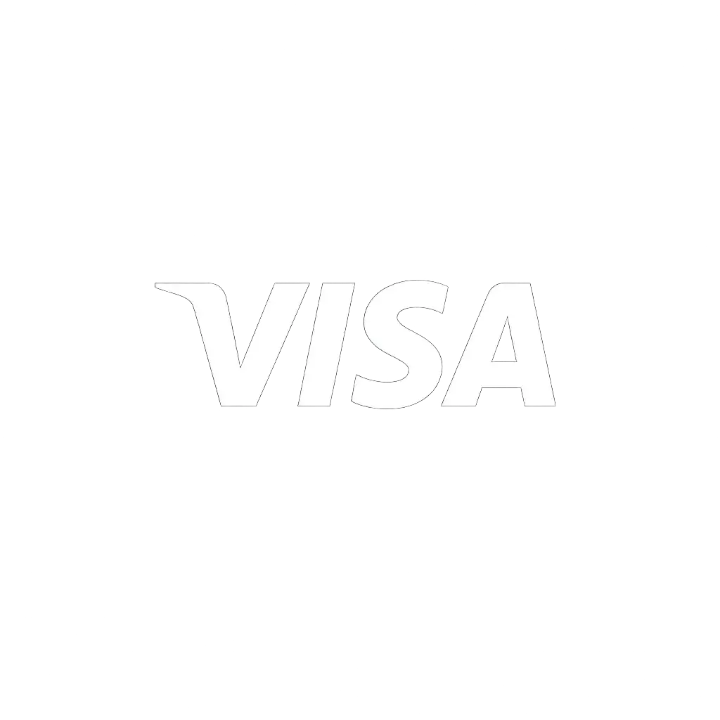 Visa payment method icon